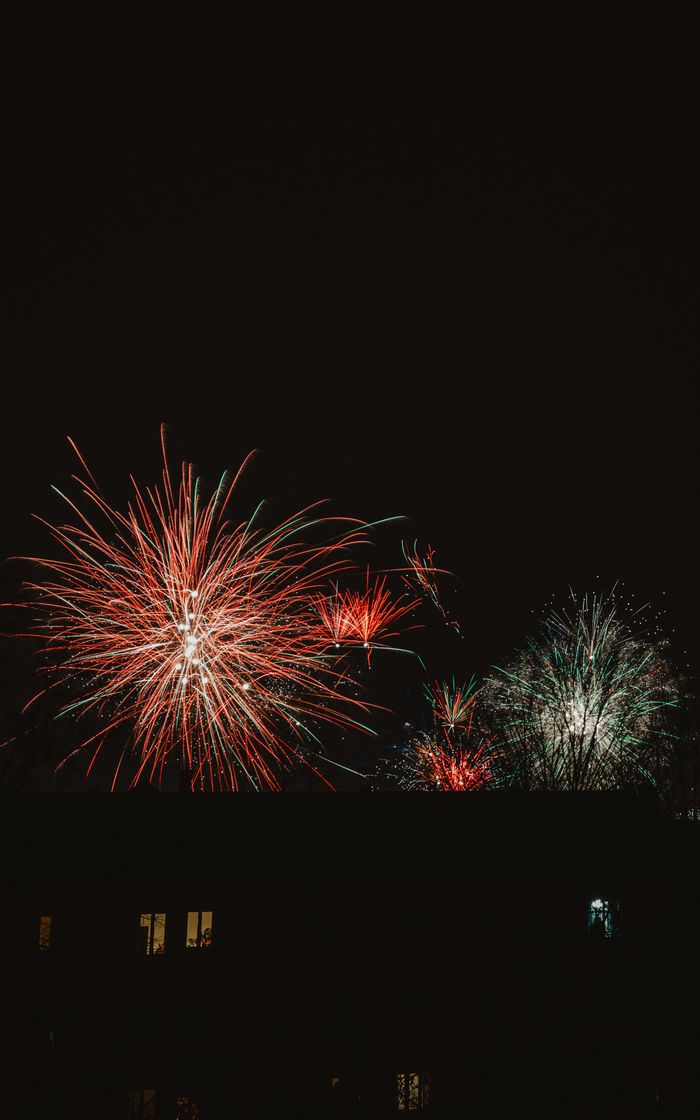 Vibrant fireworks light up Berlin's night sky in a spectacular display.